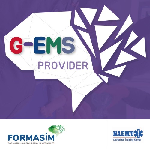GEMS Provider / Refresh