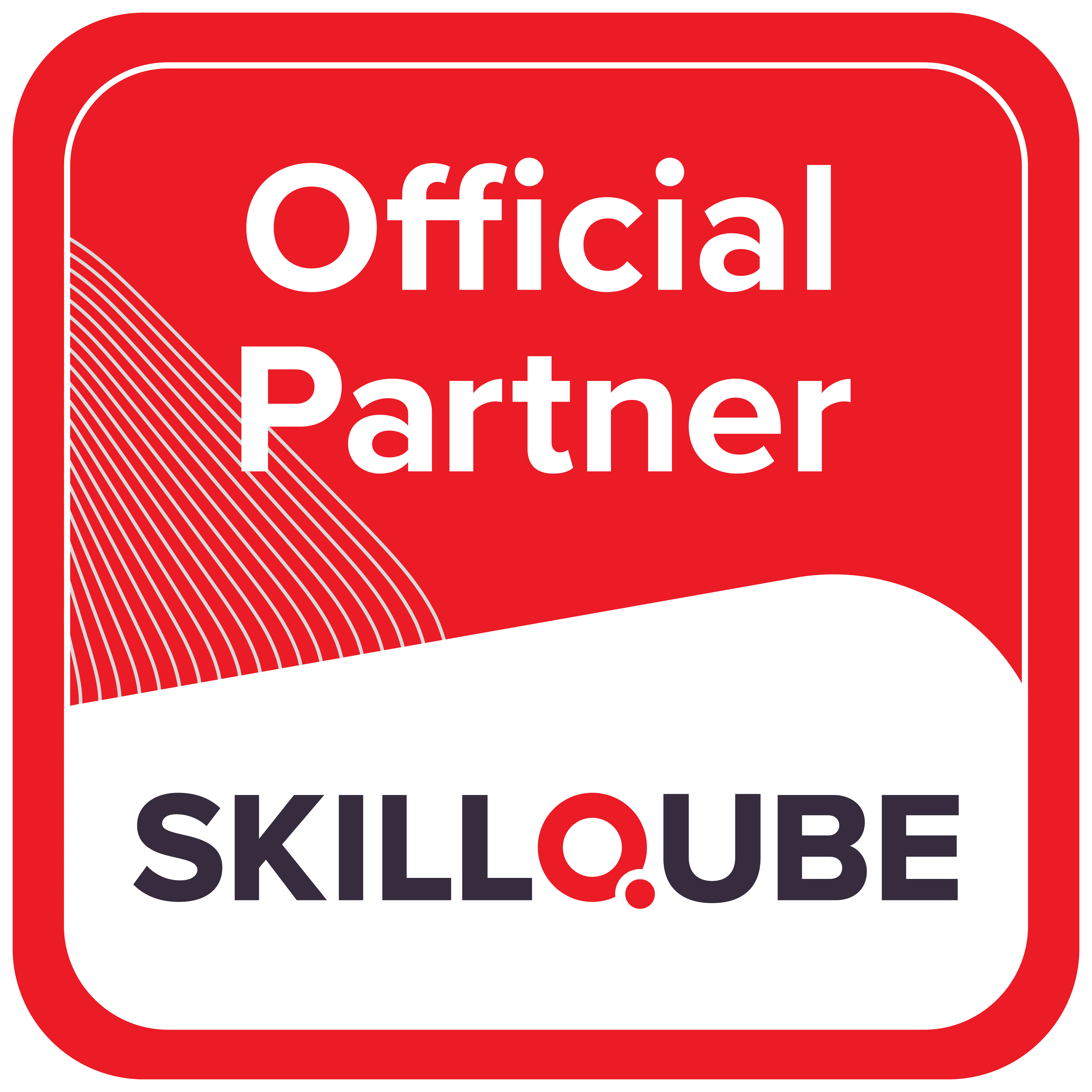 SkillQube